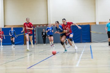 Bild 120 - wBJ TSV Ellerau - HSG Schue/We/Re : Ergebnis: 23:15